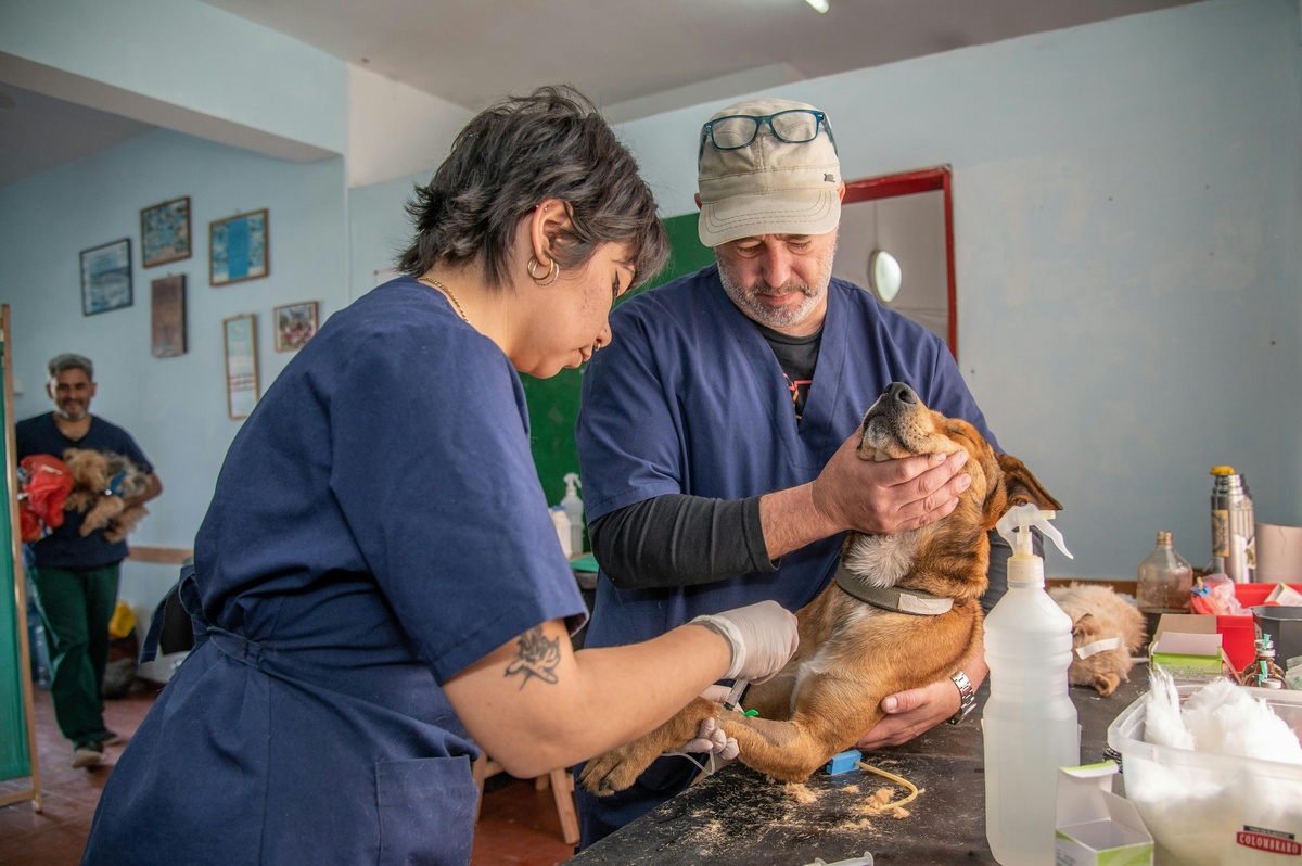 Animal Healthcare Distribution
